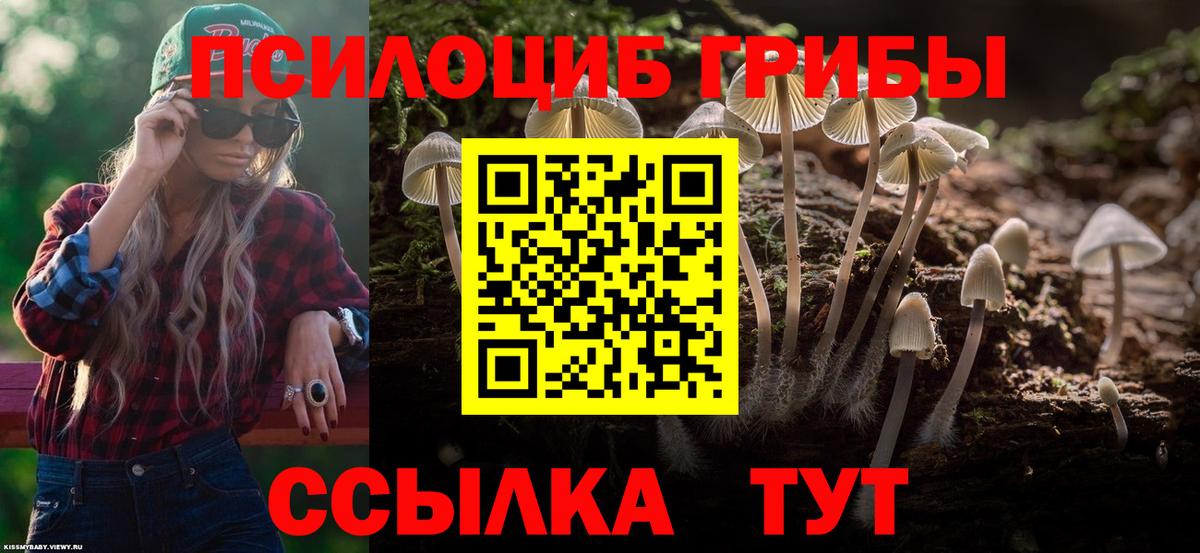 Псилоцибиновые грибы GOLDEN TEACHER Уварово