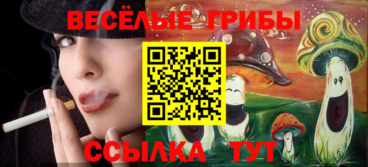 Псилоцибиновые грибы Psilocybe  Вход с VPN  Уварово 